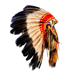 Ishi, the last tribal American Indian