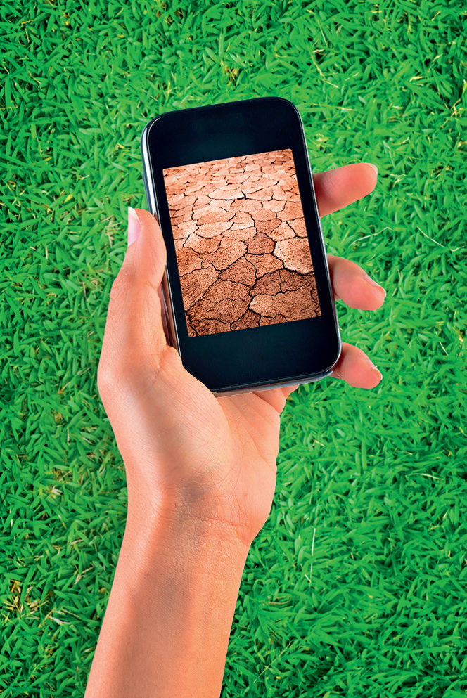 Devising from internet ‘texts’