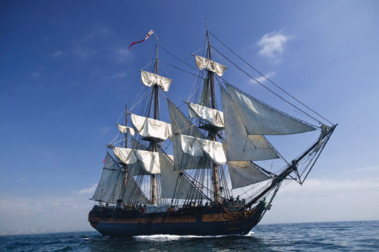 The Wreck of the Mignonette