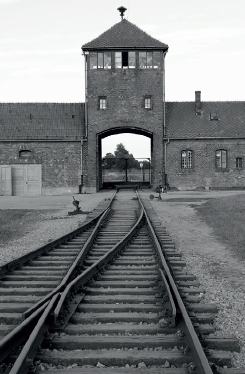 The Diary of Anne Frank and The Boy in the Striped Pyjamas