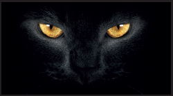 Devising - Martin McDonagh