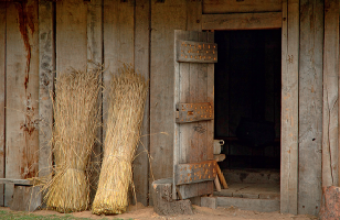 The Dark Ages? A look at the Anglo-Saxons through drama