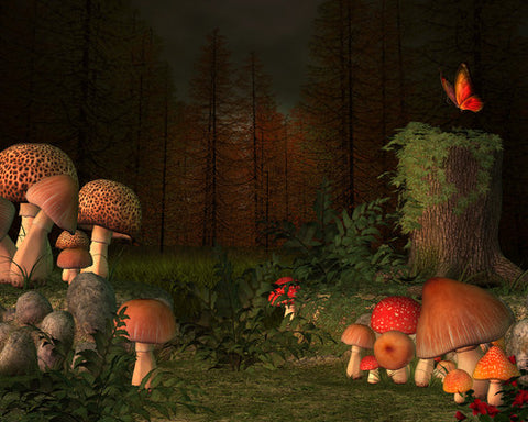 A Midsummer Night's Dream