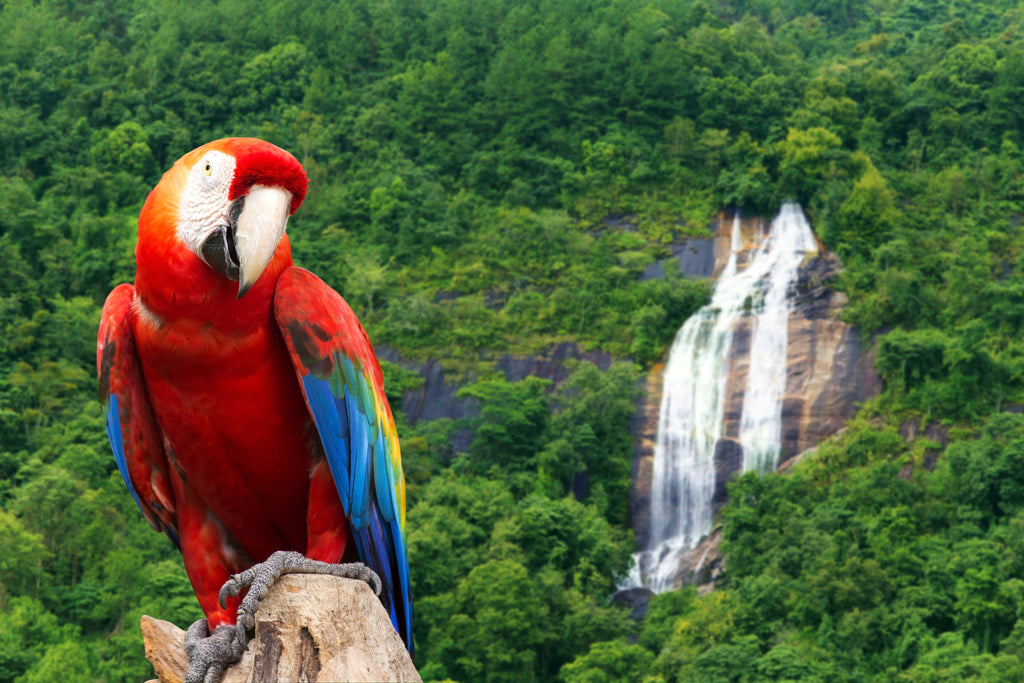 A trip through Latin America