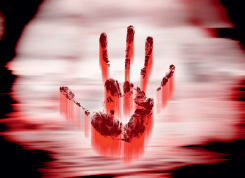 Making drama from the weird and wonderful